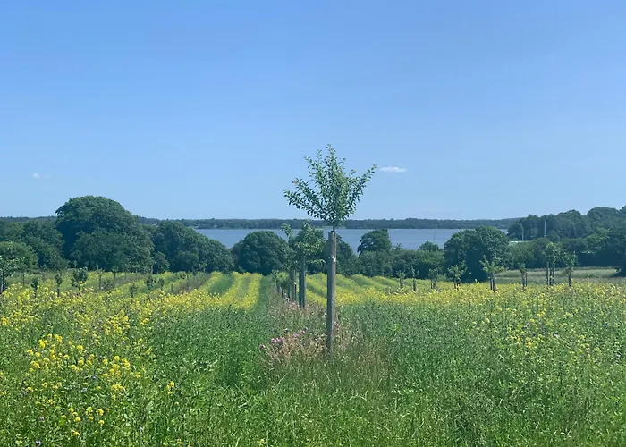 Holiday home Schleimoewe